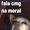 MEMES DIVERSOS 11
