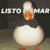 LISTO
MAR