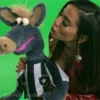 Cavalinho do Botafogo 7