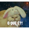 O QUE É?!