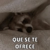 QUÉ SE TE
OFRECE