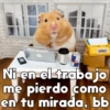 💞🐹Hamstercitos De Amor🐹💞 15