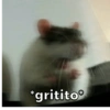 *gritito*
