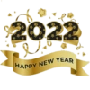 Happy new year 2022 8