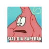 Petrik 18