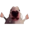 Memes Perritos 🐕 10