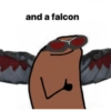 and a falcon