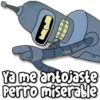 🍃 MEMES Random 5.0 🤯🌝 11