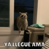 YA LLEGUÉ AMA