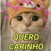 QUERO
CARINHO