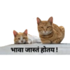 Marathi manjar 7