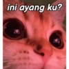 ini ayang ku?
