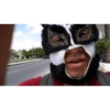 Tlacuache 2