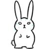 Bunny 8