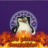 MM
XX
puro pinche
mazatlán