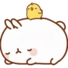 Molang y Piu Piu🧡 9