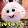 PERFEIÇÃO