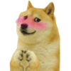 Latest Memes 12