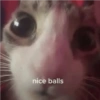 nice balls
C