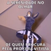 Cavalinho do Botafogo 27