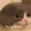 Súper Shitpost 💪😎 9