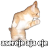 🥳Memes Party 4🎊 24