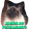 ALERTA DE
PEJELAGARTO