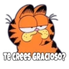 Garfield Grosero 9