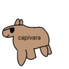 capivara