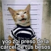 200
190
1.80
170
160
1940
Paraguavita
200
140
-150
170
160
50
720
140
12
1904.2015
yoo zoi preso de la
cárcel de tus besos
