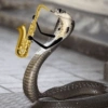 Funny snakes 16