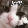 jadi?