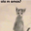 ola m amas?
इ