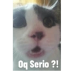 Oq Serio ?!