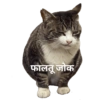 Marathi manjar 9