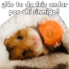 💞🐹Hamstercitos De Amor🐹💞 9
