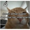 dormir es tan bueno
despertar tan innecesario