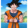 Goku 26