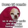 Deus tá vendo
vc ir dormir mais
um dia sem
tomar banho