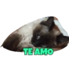 TE AMO