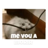 Gatitos #1 19