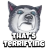 Pet reactions 12