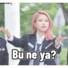 Kpop Turkey 24