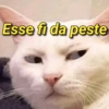 BEST MEMES ENGRAÇADO S 5