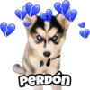 🐶 Perritos Husky ❤️ 13