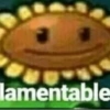 🤪👌Shitposting Random 😎🤟 8