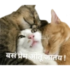 Marathi manjar 8