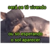 será se tô vivendo
ou só esperando
o sol aparecer