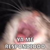 YA ME
RESPONDIO00