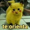 te orienta